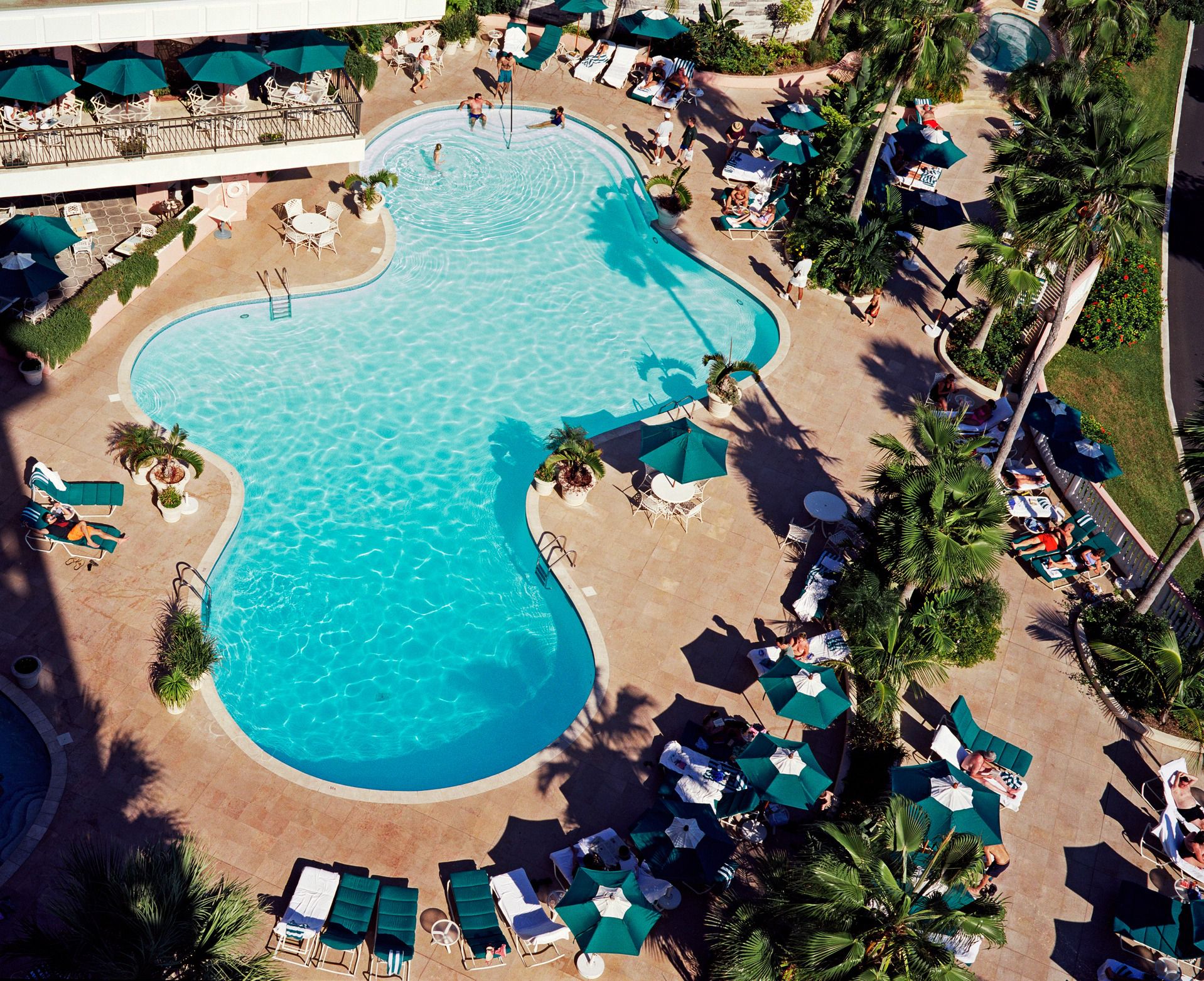 piscine de forme libre