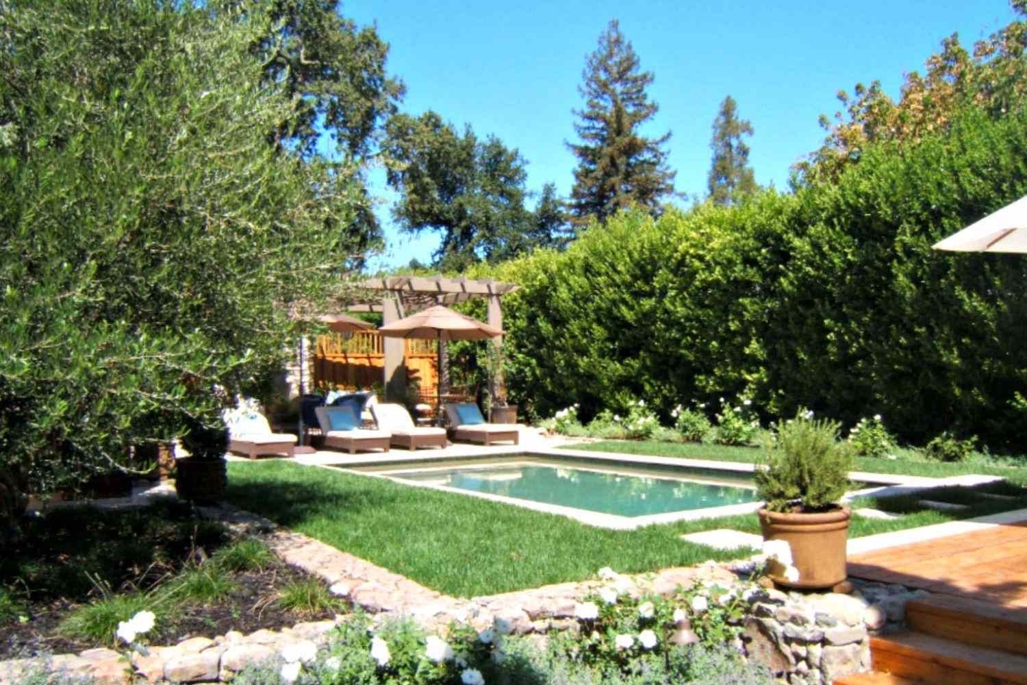 Design de piscine méditerranéenne avec clôture d'arbustes et plantes en pot.