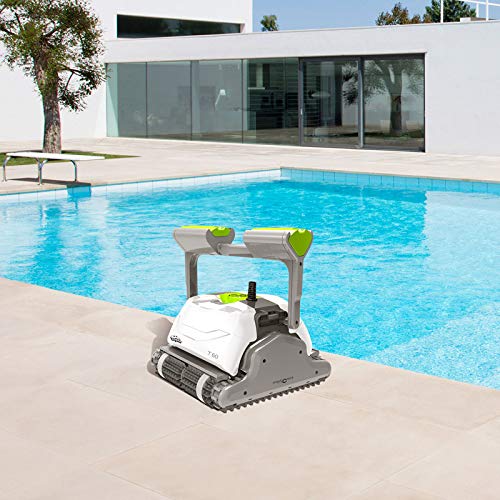 Aspirateur piscine - Dolphin - T60